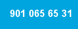 901 065 65 31
